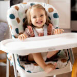 Graco - Seggiolone Pappa SnackEase