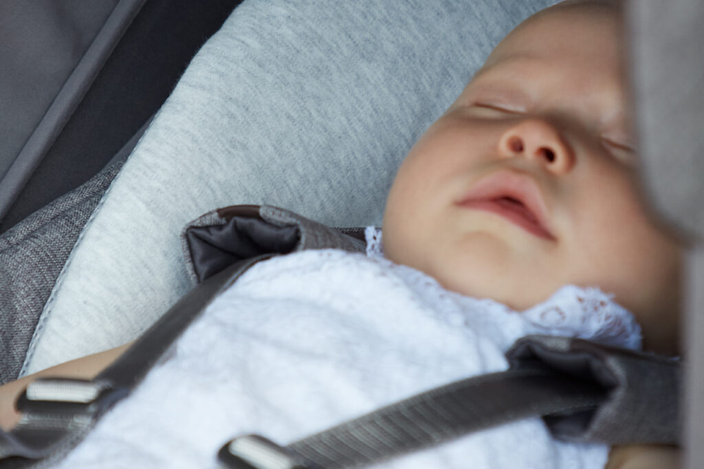 Inglesina - Baby Snug Pad