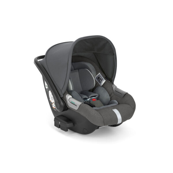 Inglesina - Seggiolino Darwin Infant