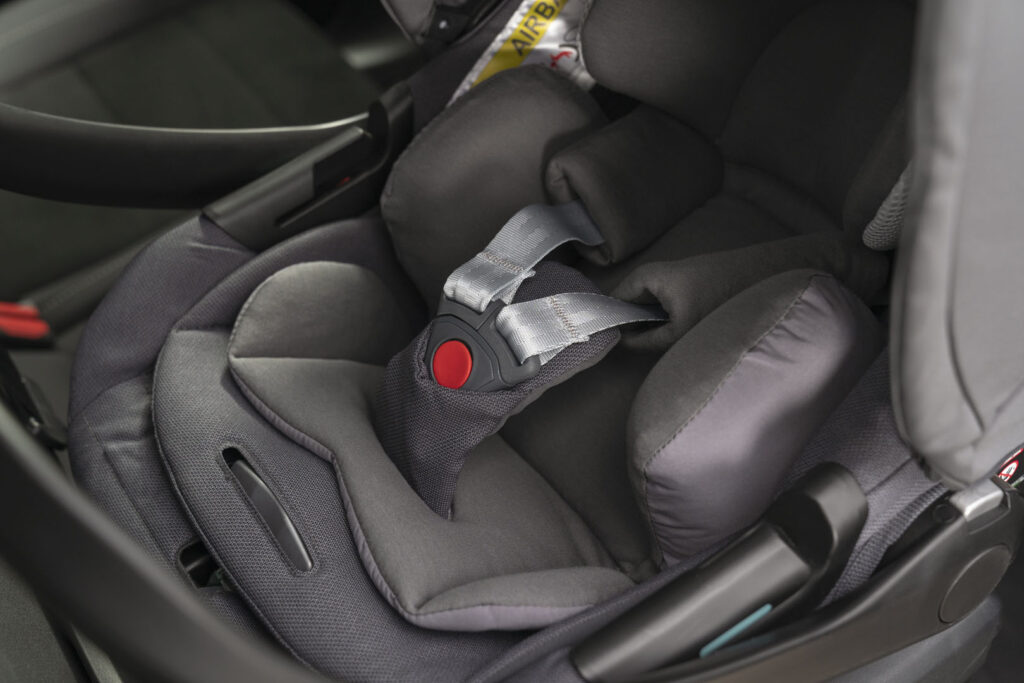 Inglesina - Seggiolino Darwin Infant Recline