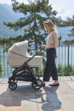 Inglesina - System Quattro Aptica