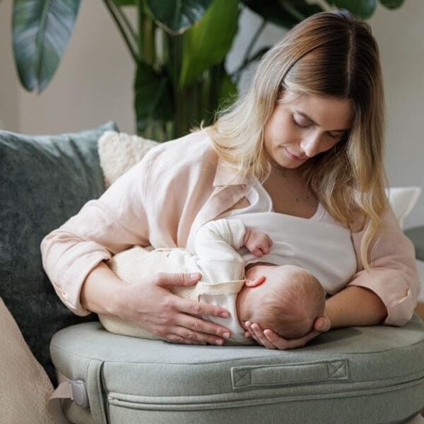 Inglesina - Elysia cuscino allattamento