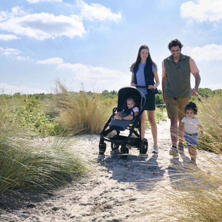 Inglesina - System Quattro Aptica XT