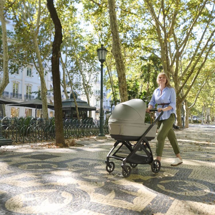 Inglesina - System Quattro Electa